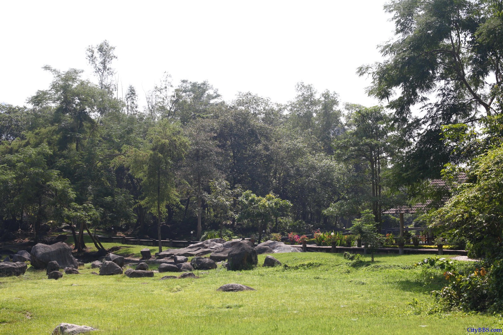 泰国Doi Pha Hom Pok森林公园的温泉
